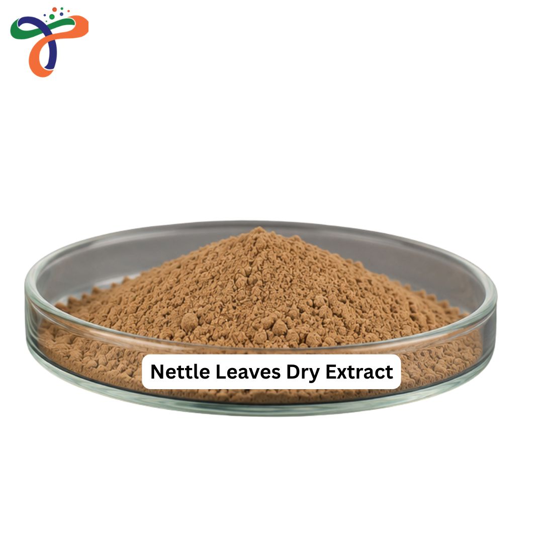 Nettle Leaves Dry Extract